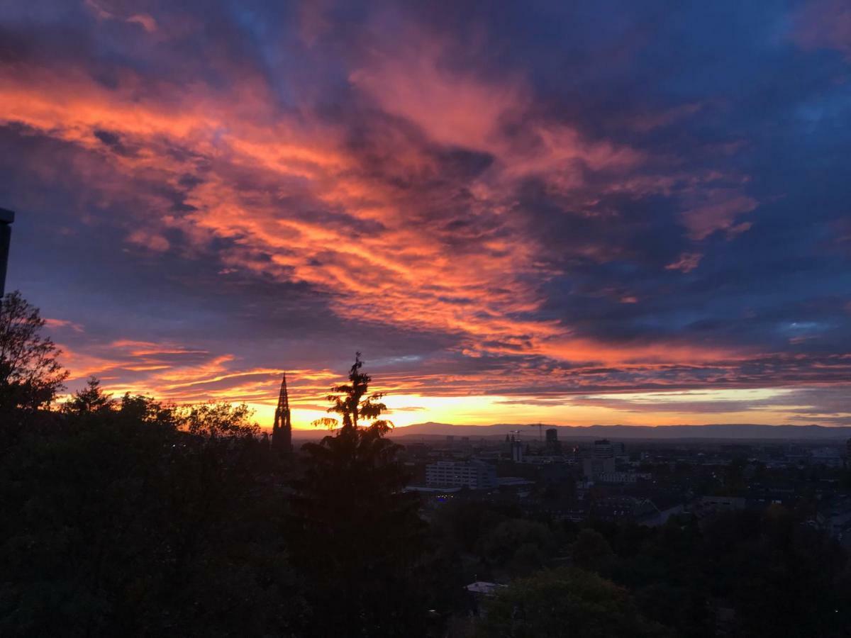 Ferienwohnung-Freiburg-Exklusiv Esterno foto